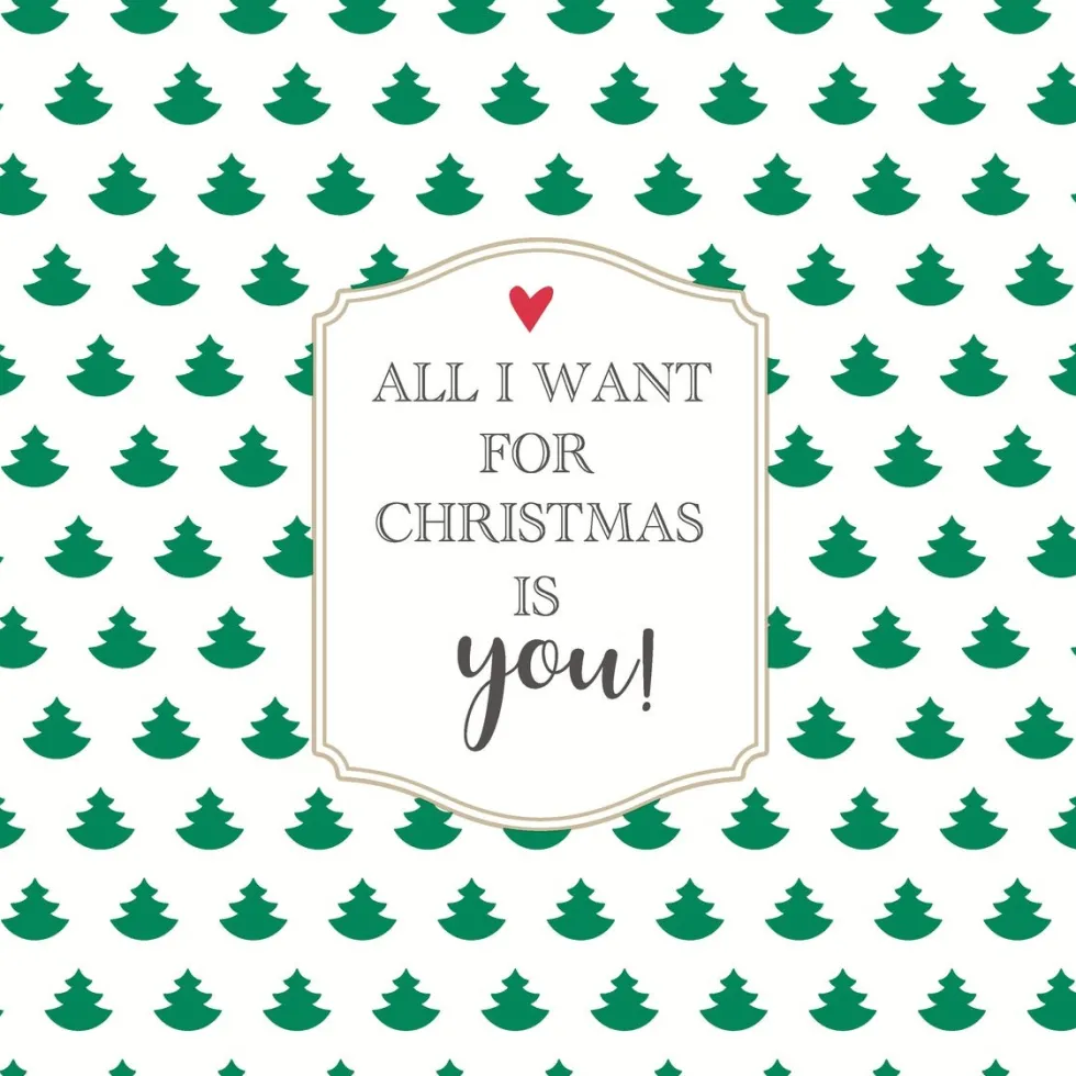 Paper + Design servet all i want 33 x 33 cm 20 stuks