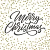 Paper + Design servet Merry Christmas wit 33 x 33 cm 20 stuks
