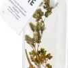 Pineut vinaigrette Spaanse peper en sinaasappel