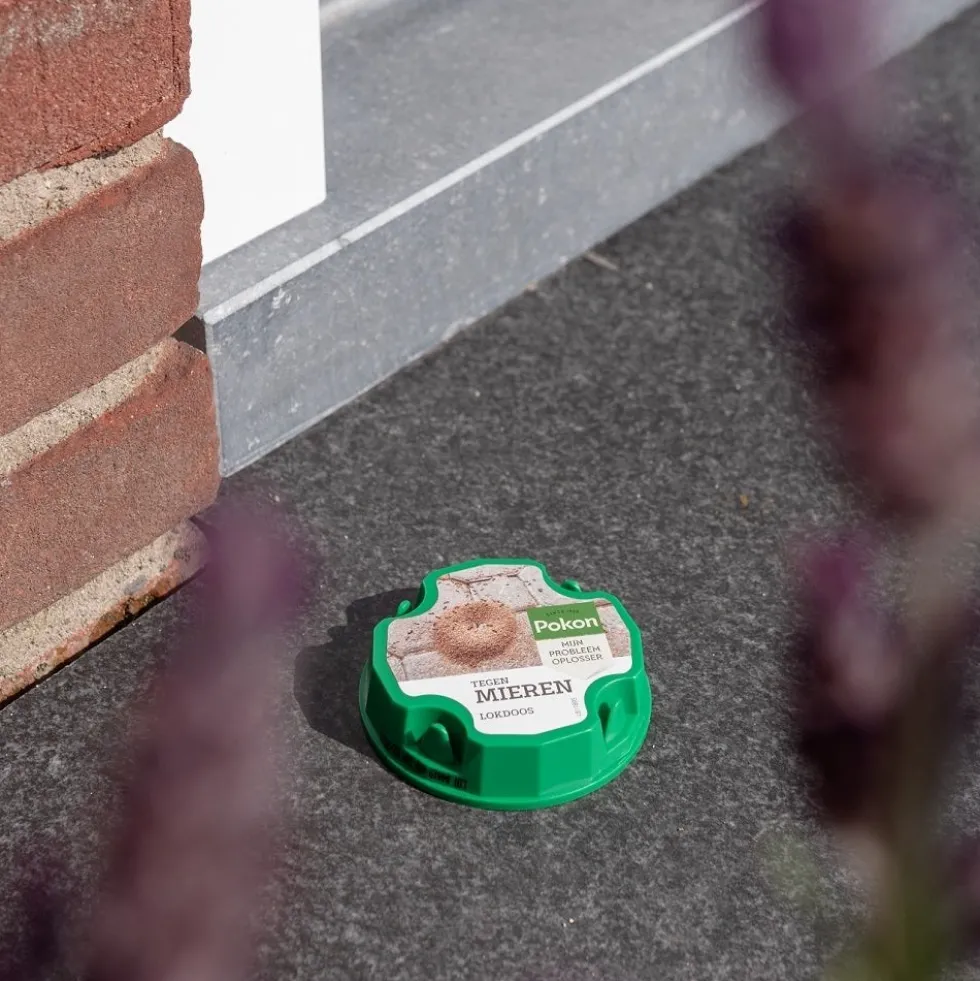 Pokon tegen mieren lokdoos 2 stuks