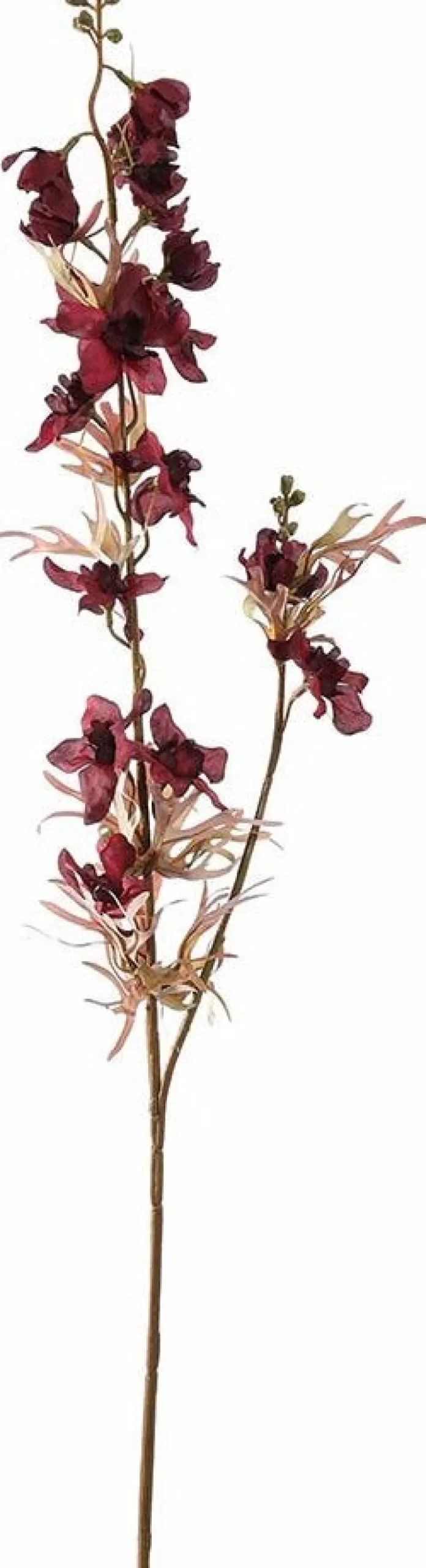 Pure kunstbloem Ridderspoor bordeaux H 65 cm