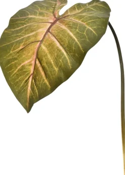 Pure kunsttak Caladium groen / geel H 113 cm