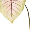Pure kunsttak Caladium roze / groen H 113 cm