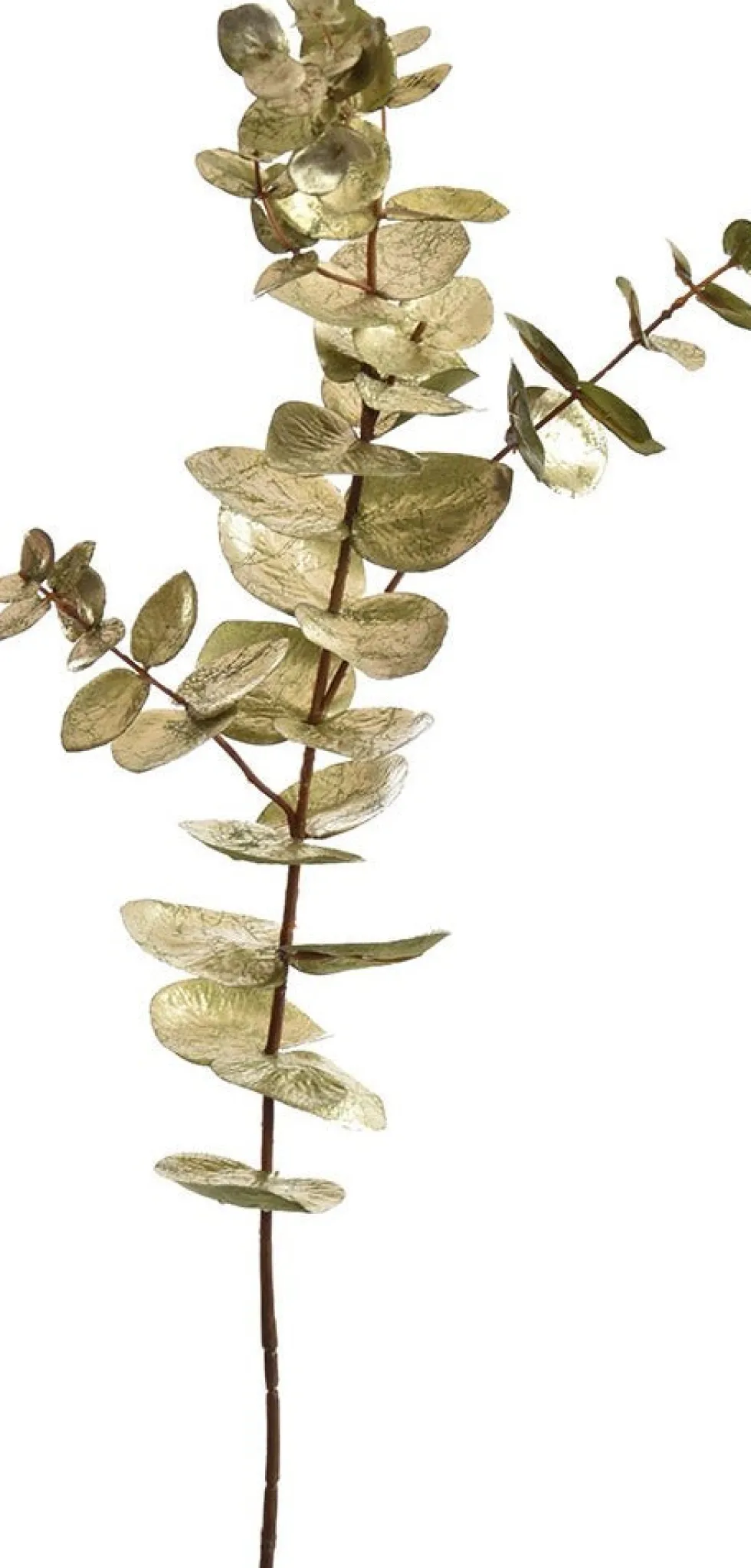 Pure kunsttak Eucalyptus goud H 75 cm