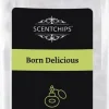 ScentChips ScentOil born delicious 475 ml