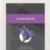 ScentChips ScentOil purple passion - lavender 475ml