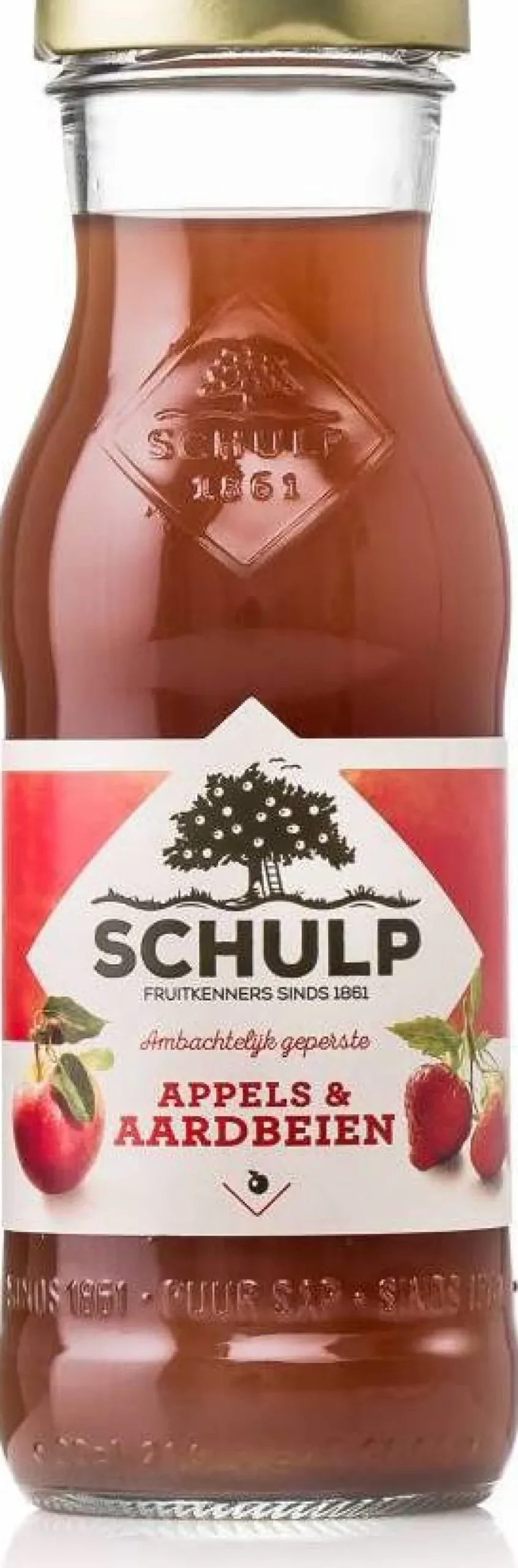 Schulp ambachtelijke appel aardbeisap 200 ml