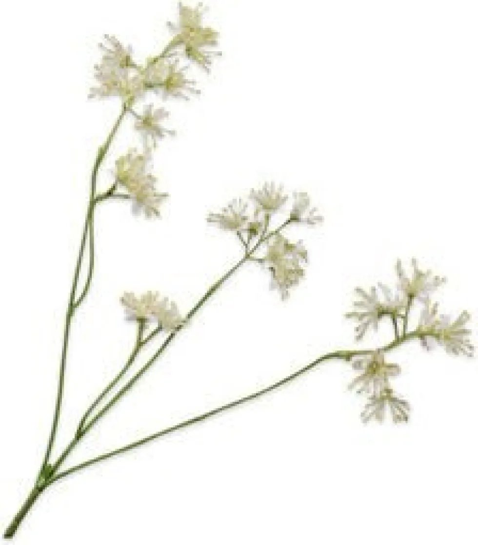 Silk-ka kunstbloem Aralia wit H 74 cm