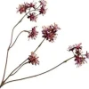 Silk-ka kunstbloem Capparis bordeaux H 43 cm