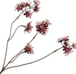 Silk-ka kunstbloem Capparis bordeaux H 43 cm