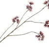 Silk-ka kunstbloem Capparis bordeaux H 14 cm