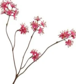 Silk-ka kunstbloem Capparis roze H 43 cm
