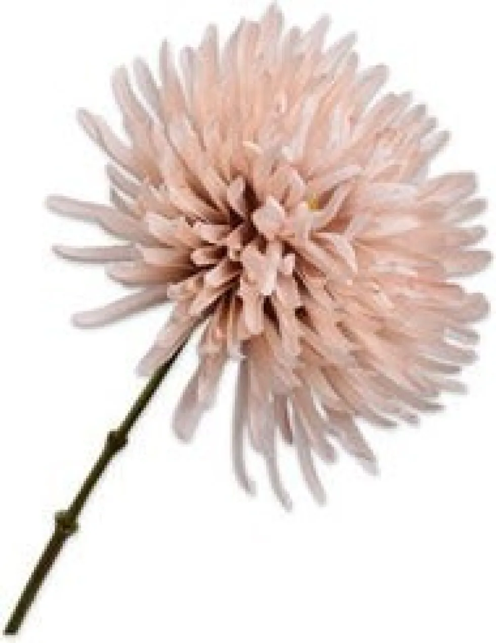 Silk-ka kunstbloem Chrysant roze H 62 cm