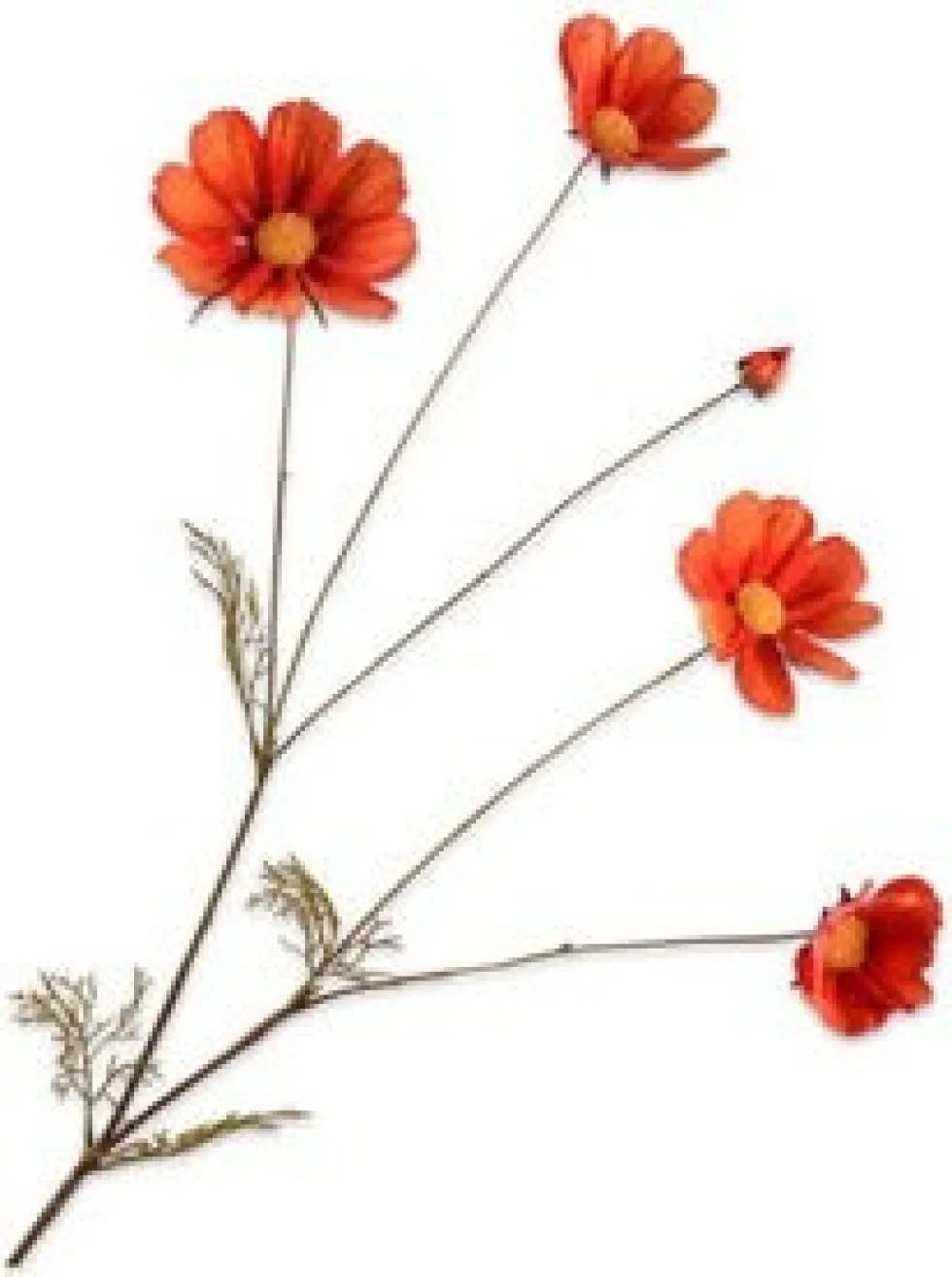 Silk-ka kunstbloem Cosmea donkeroranje H 92 cm