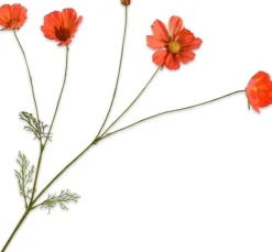 Silk-ka kunstbloem Cosmea oranje H 92 cm