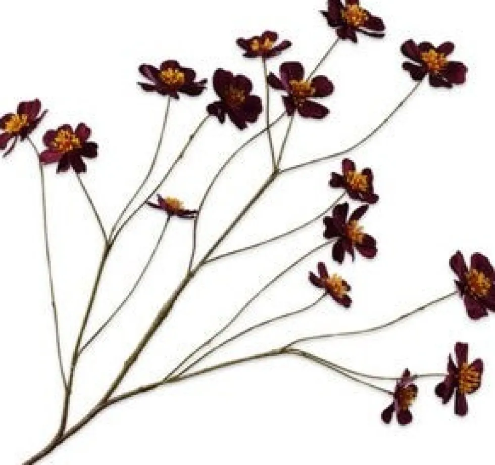 Silk-ka kunstbloem Cosmea paars H 32 cm