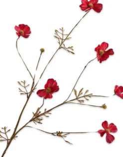 Silk-ka kunstbloem Cosmea rood H 77 cm