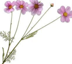 Silk-ka kunstbloem Cosmea roze H 92 cm