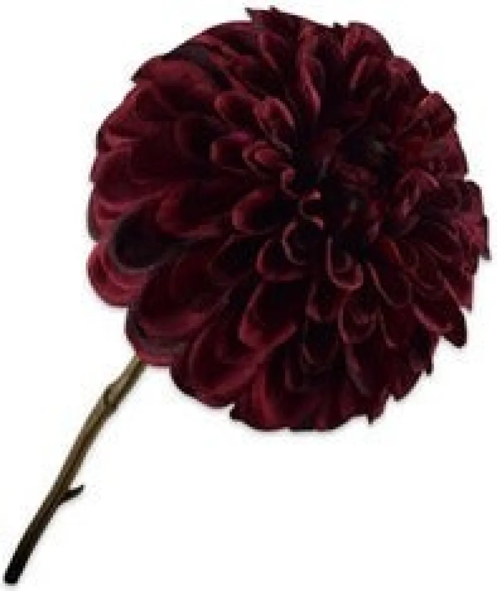 Silk-ka kunstbloem Dahlia rood H 74 cm