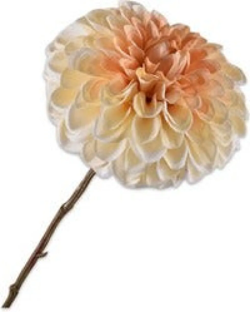 Silk-ka kunstbloem Dahlia wit / roze H 74 cm