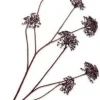 Silk-ka kunstbloem Dille bordeaux H 105 cm