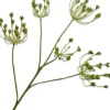 Silk-ka kunstbloem Dille groen H 83 cm