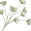 Silk-ka kunstbloem Dille groen H 120 cm