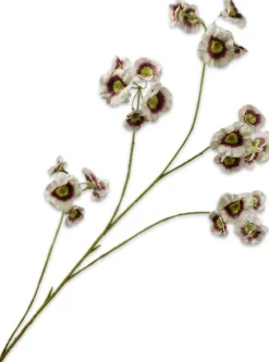 Silk-ka kunstbloem Elaeocarpus wit H 109 cm