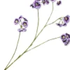 Silk-ka kunstbloem Elaeocarpus paars H 109 cm