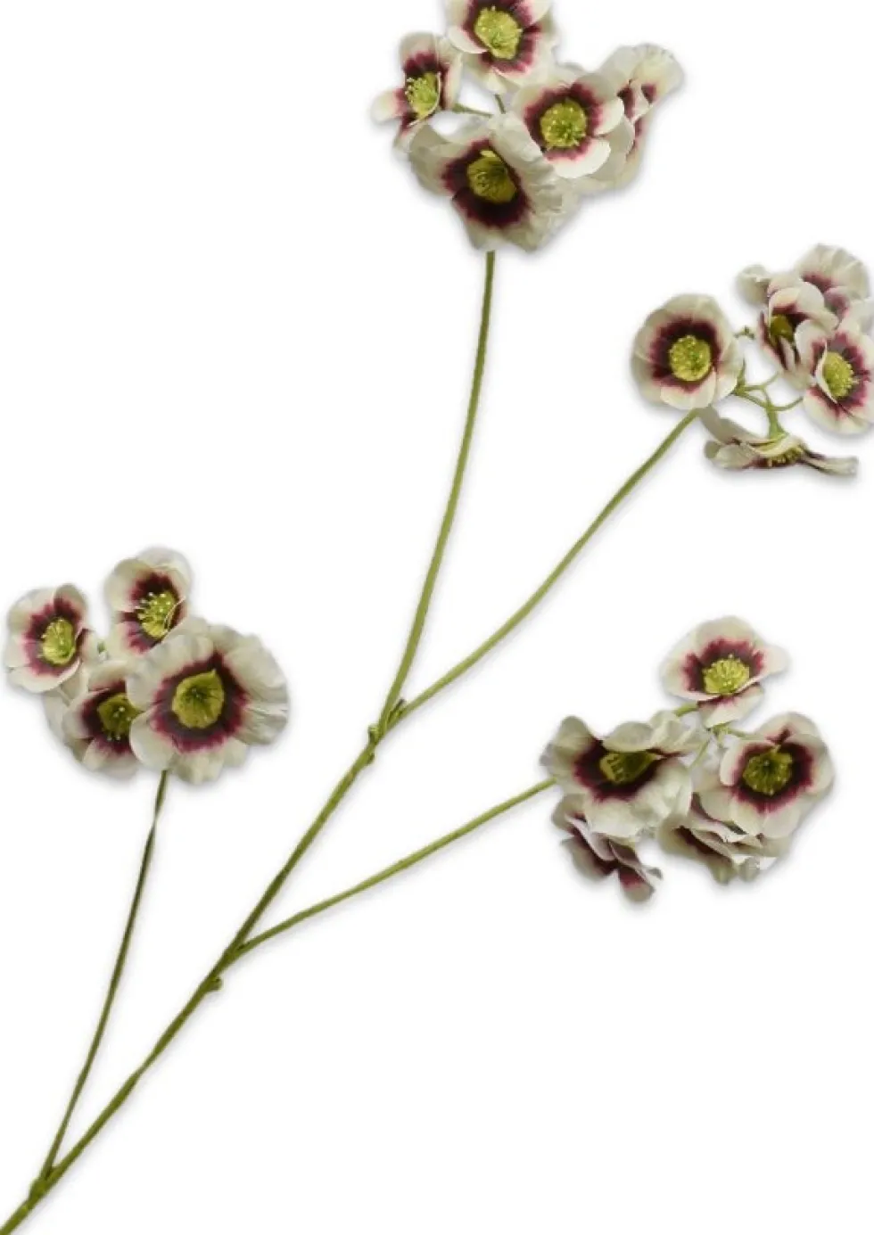 Silk-ka kunstbloem Elaeocarpus wit / roze H 78 cm