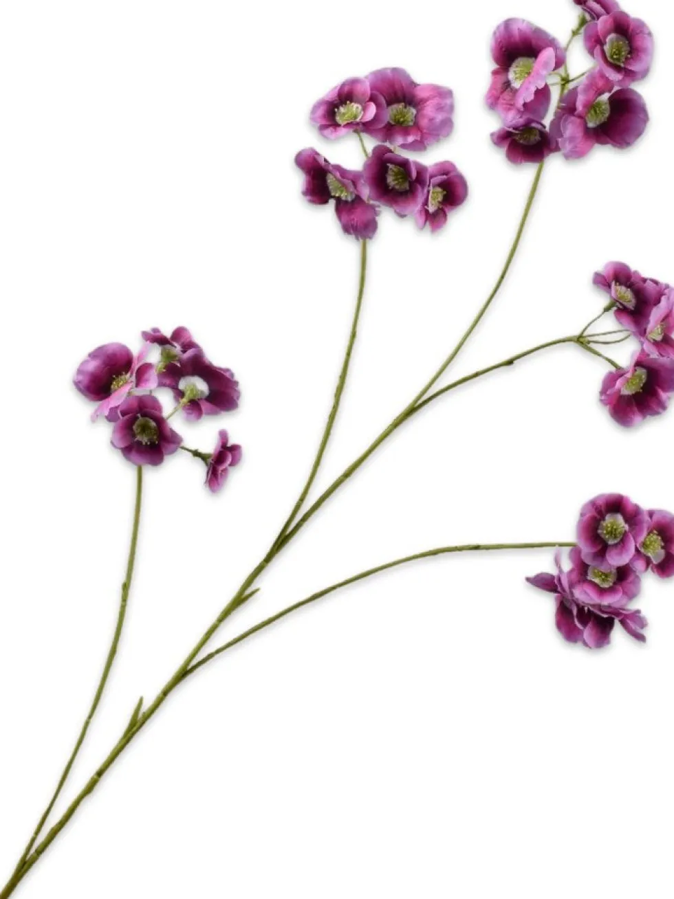 Silk-ka kunstbloem Elaeocarpus roze H 109 cm