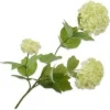 Silk-ka kunstbloem Gelderse roos groen H 61 cm