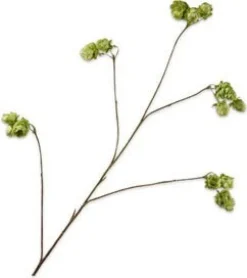 Silk-ka kunstbloem Hop groen H 108 cm