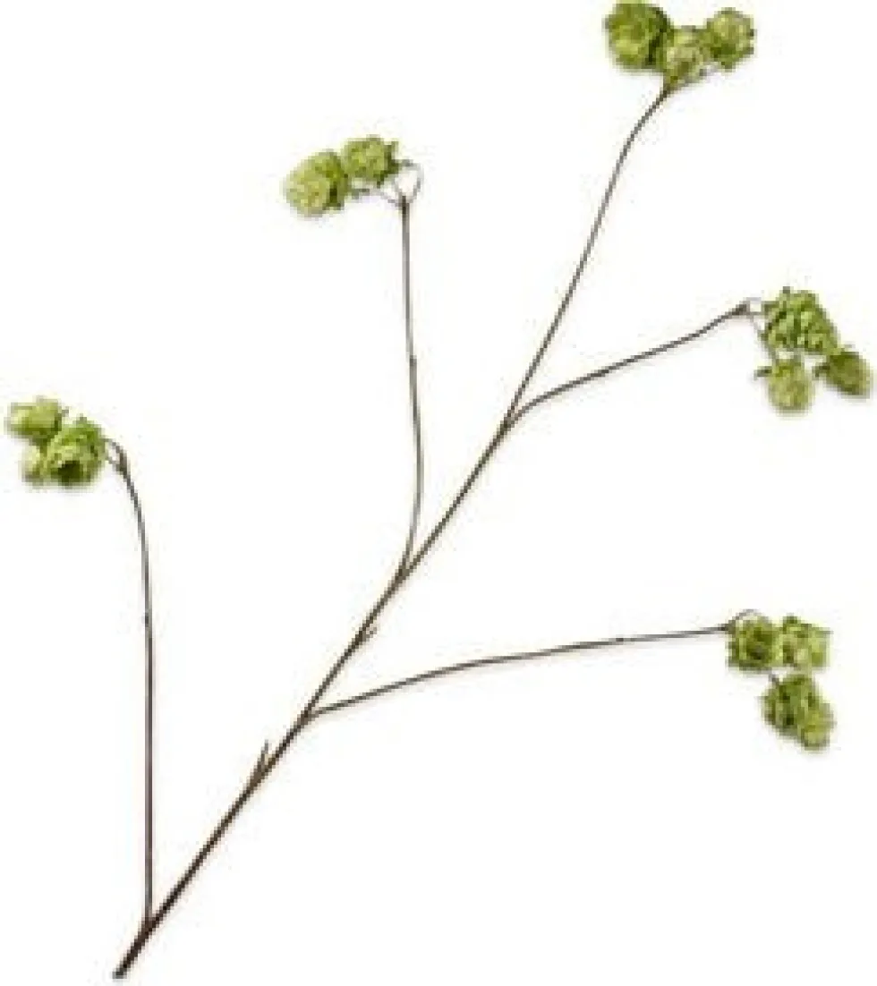 Silk-ka kunstbloem Hop groen H 108 cm