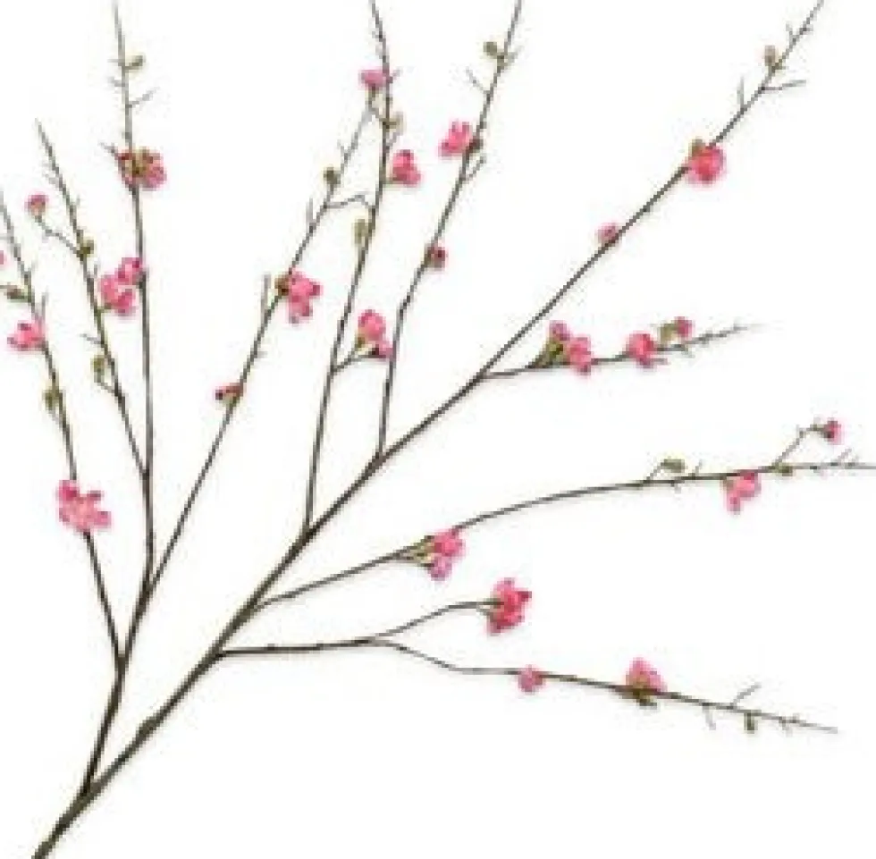 Silk-ka kunstbloem Japanse Sierkers roze H 115 cm