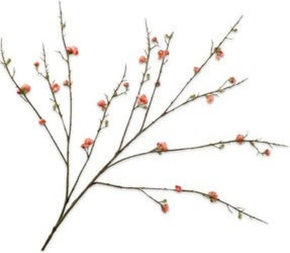 Silk-ka kunstbloem Japanse Sierkers oranje H 115 cm