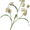 Silk-ka kunstbloem Kievietseitje wit H 70 cm
