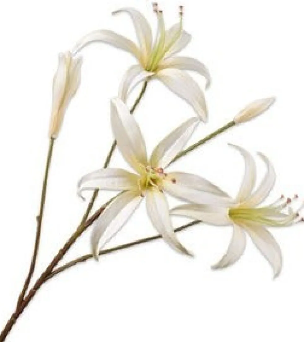 Silk-ka kunstbloem Lelie wit H 80 cm