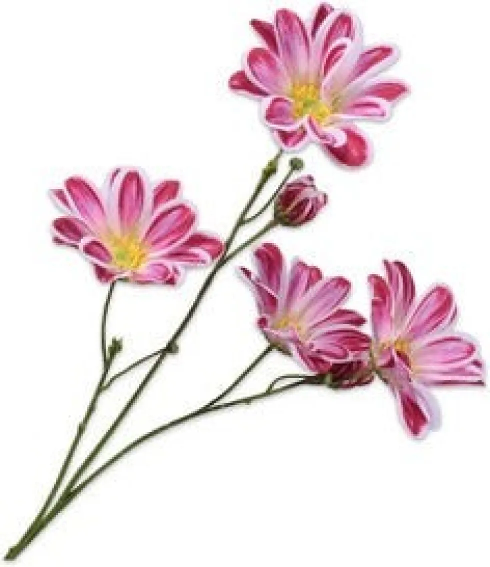 Silk-ka kunstbloem Margriet roze H 65 cm