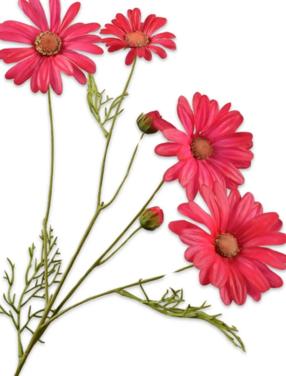 Silk-ka kunstbloem Margriet roze H 60 cm