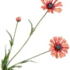 Silk-ka kunstbloem Margriet roze H 66 cm