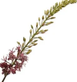 Silk-ka kunstbloem Naald van Cleopatra paars H 14 cm