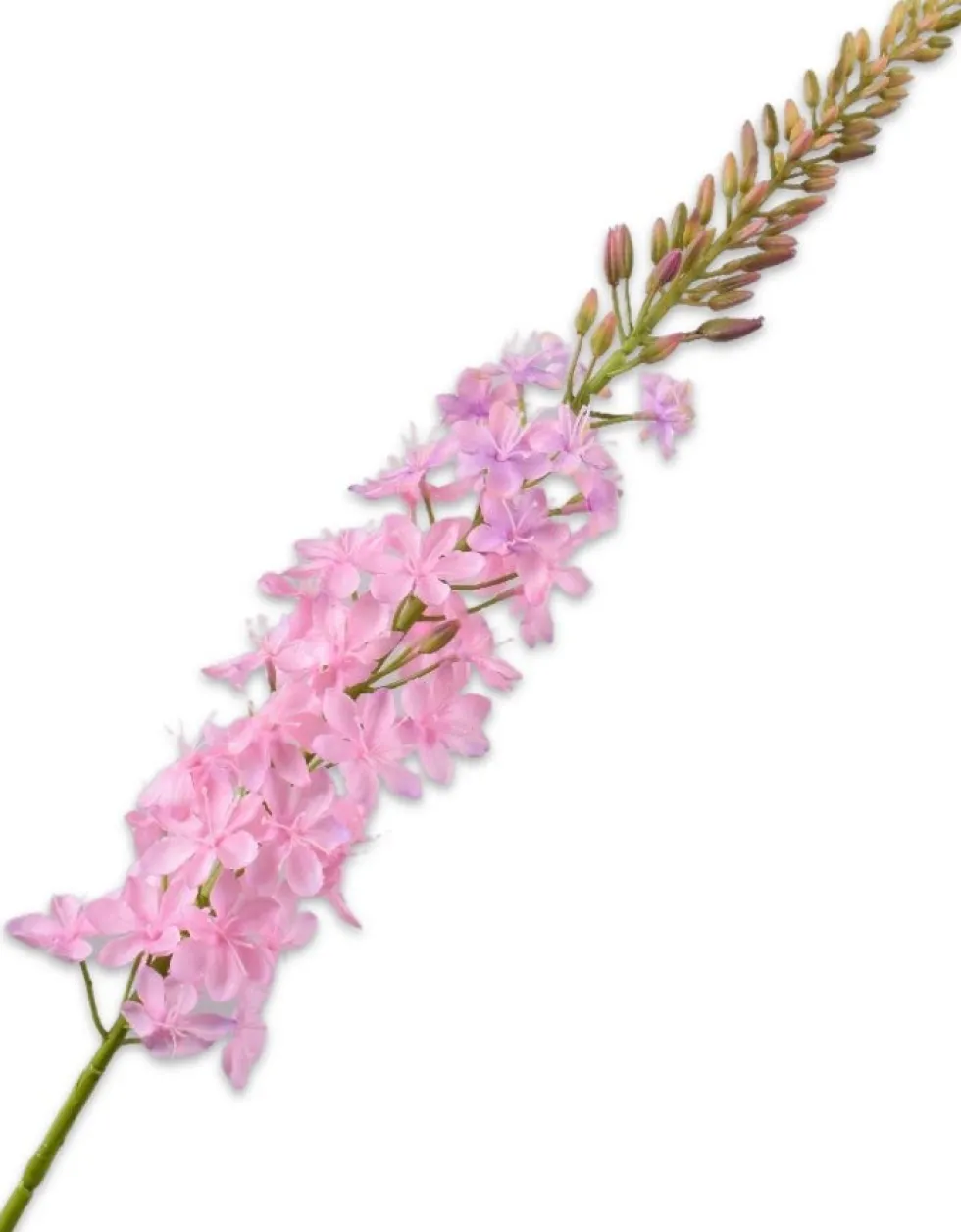Silk-ka kunstbloem Naald van Cleopatra lichtroze H 107 cm