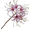 Silk-ka kunstbloem Nerine roze H 93 cm