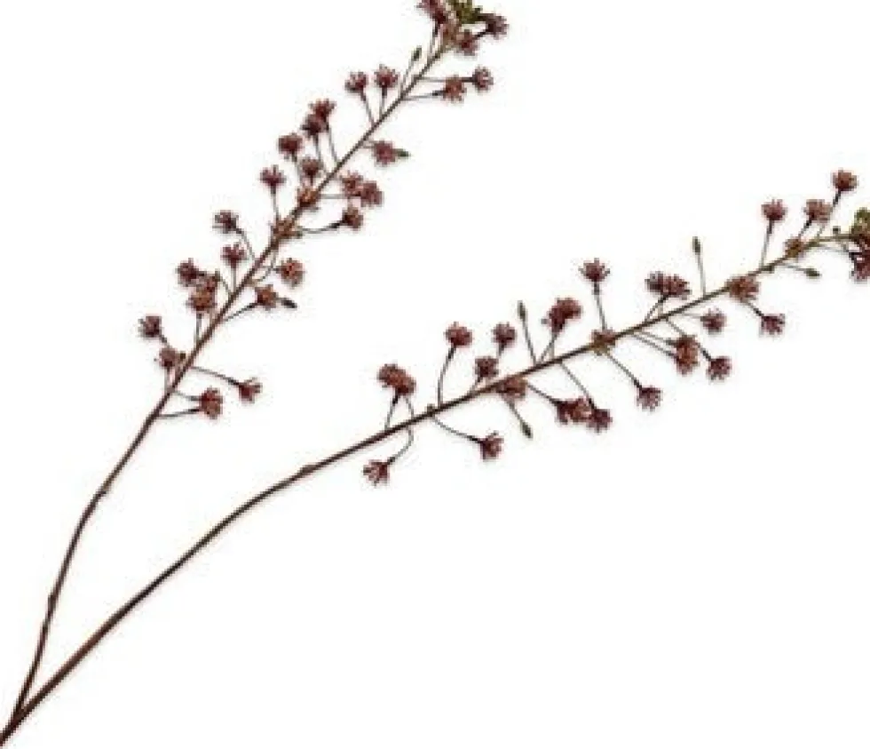 Silk-ka kunstbloem Paardenkastanje bruin H 46 cm