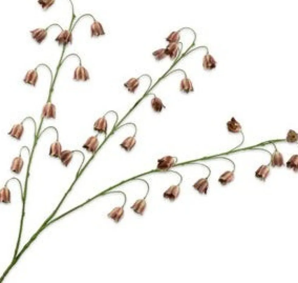 Silk-ka kunstbloem Perzische keizerskroon groen / rood H 97 cm