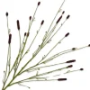 Silk-ka kunstbloem Pimpernel bruin H 116 cm