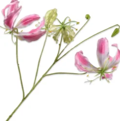 Silk-ka kunstbloem Prachtlelie roze H 89 cm