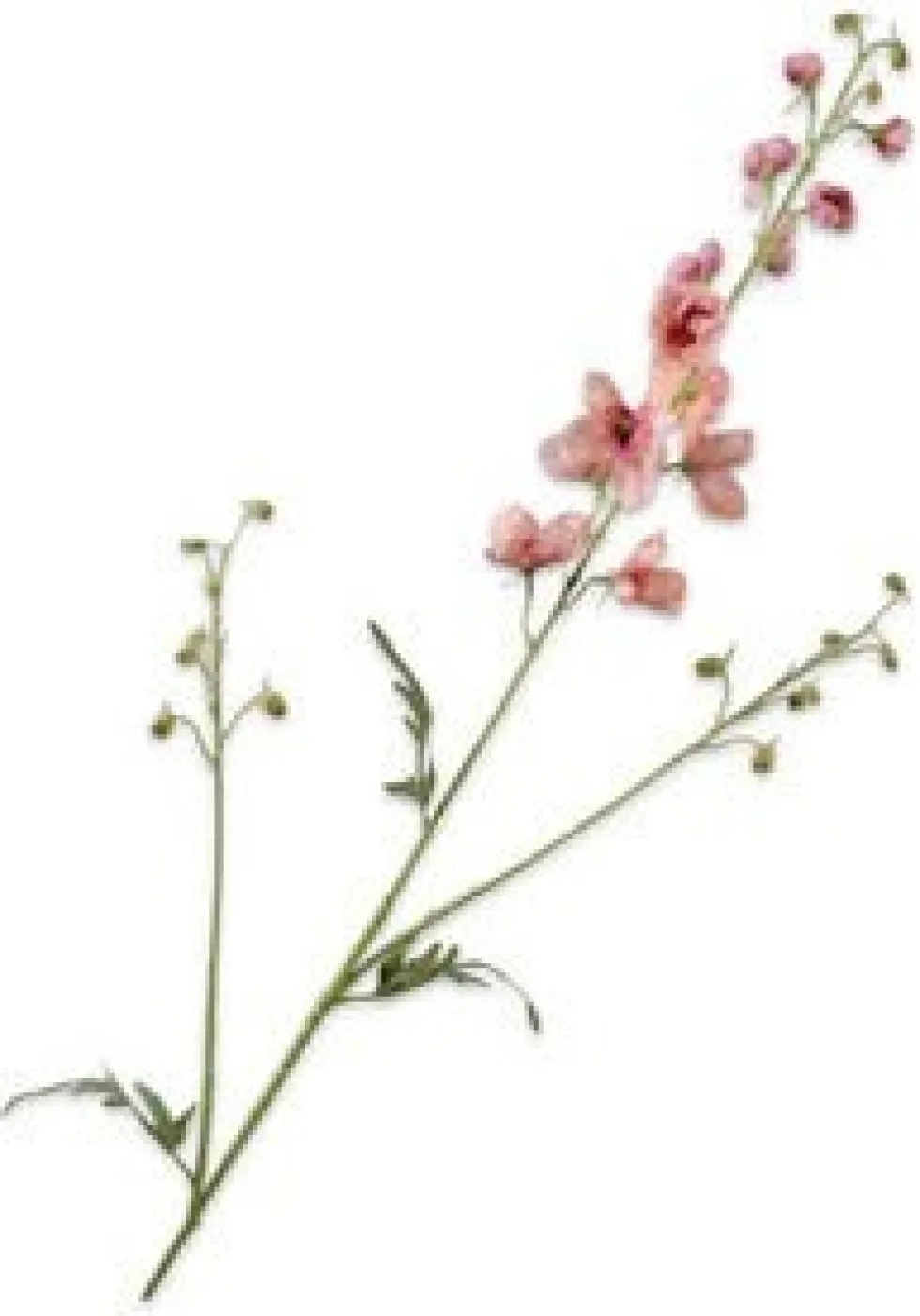 Silk-ka kunstbloem Ridderspoor zalm H 101 cm