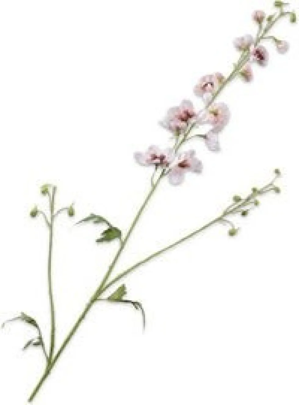 Silk-ka kunstbloem Ridderspoor wit / roze H 101 cm